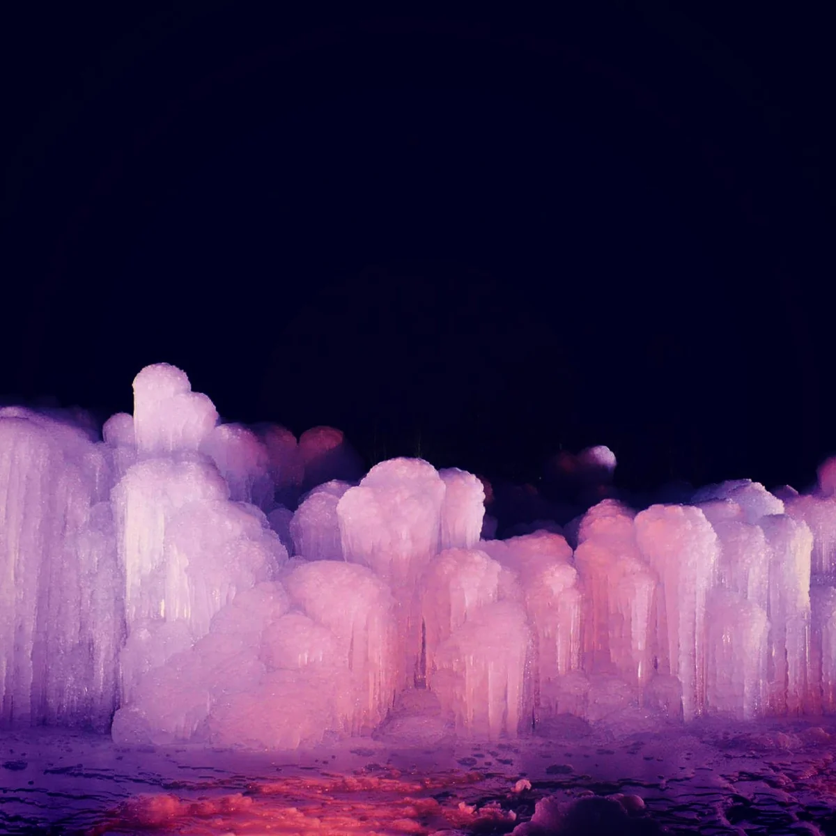 投稿写真：山梨県　西湖野鳥の森公園の樹氷