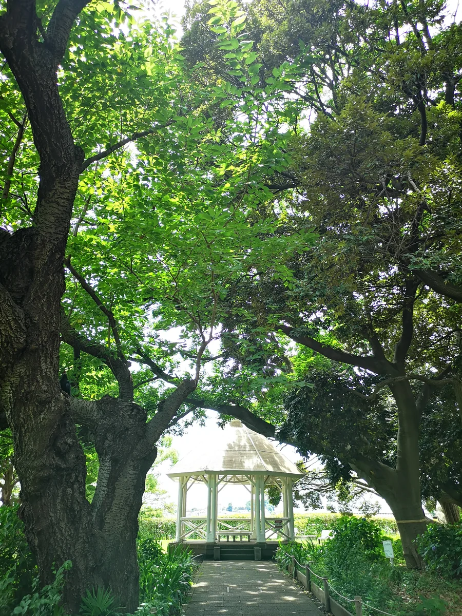 投稿写真：お昼の一時