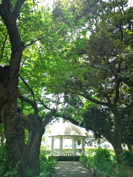 投稿：お昼の一時