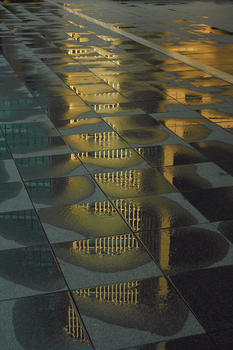 投稿写真：雨上がりの光景