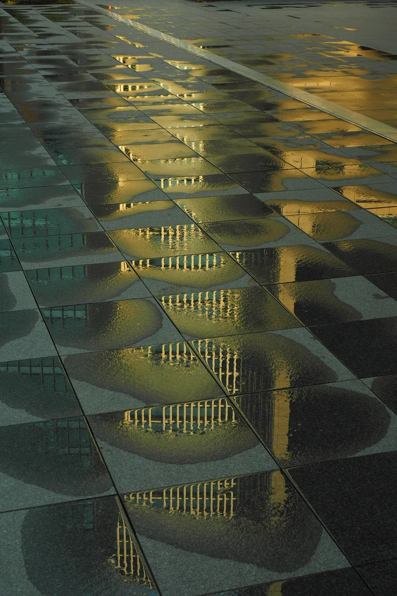 投稿写真：雨上がりの光景