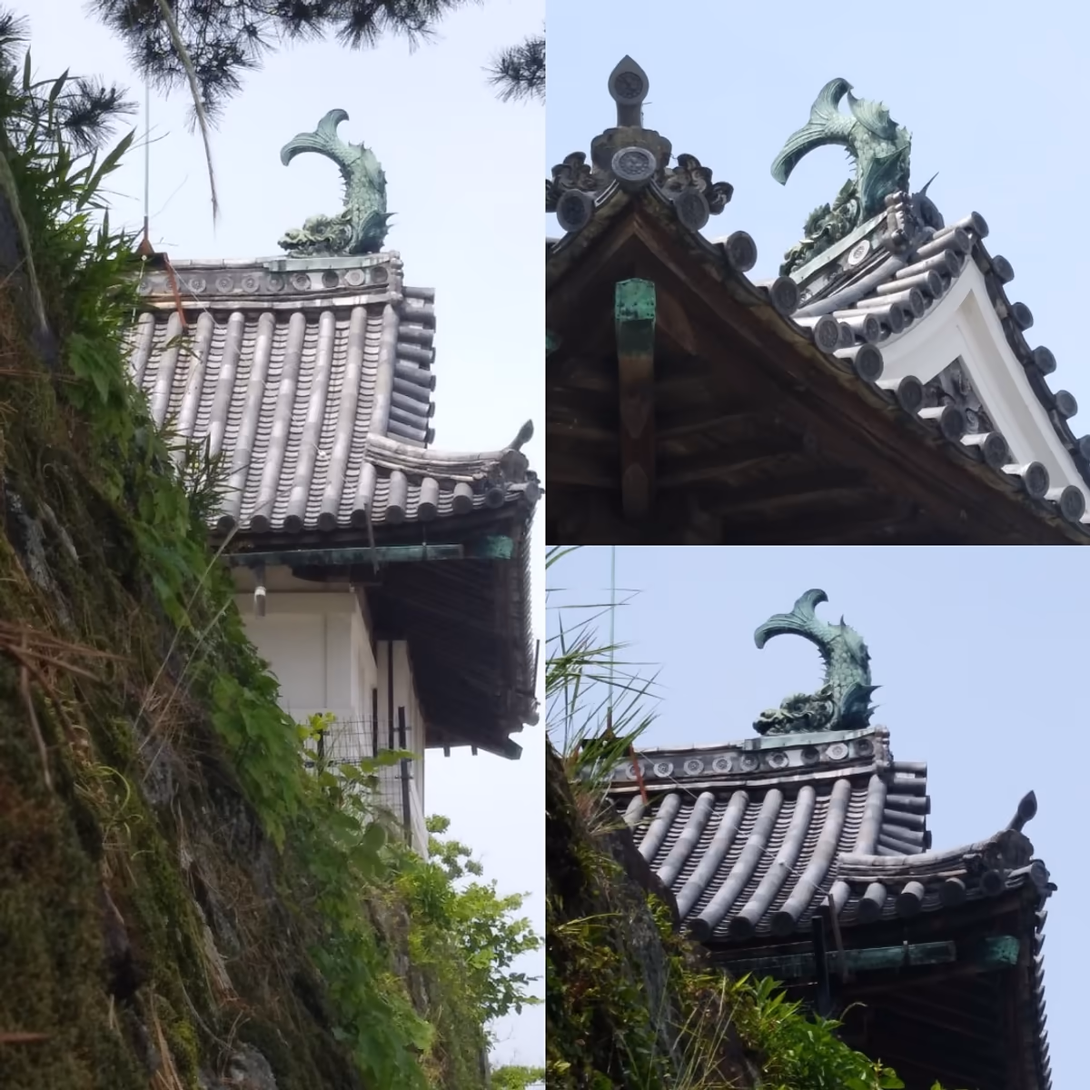 投稿写真：鯱鉾を下から見上げる