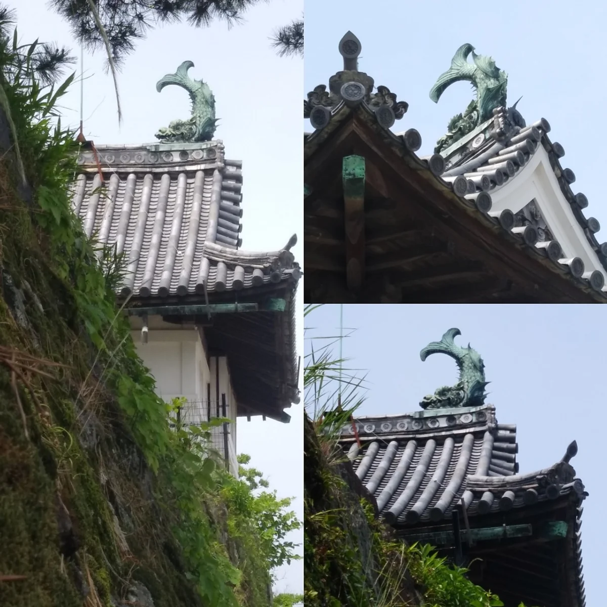 投稿写真：鯱鉾を下から見上げる