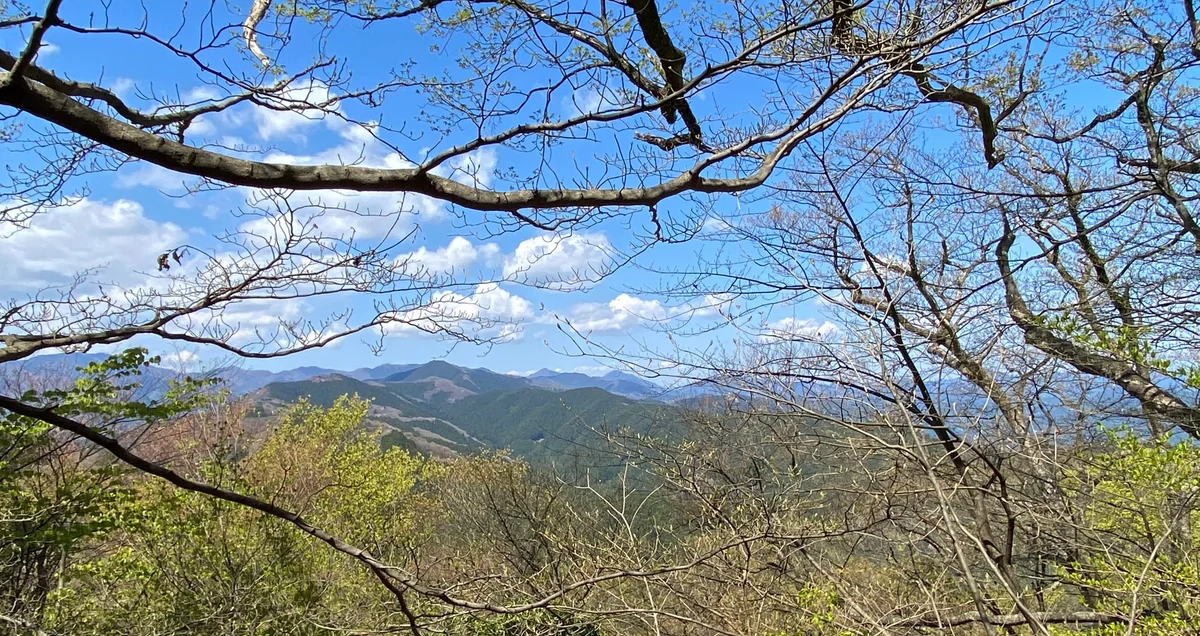 投稿写真：新緑の春