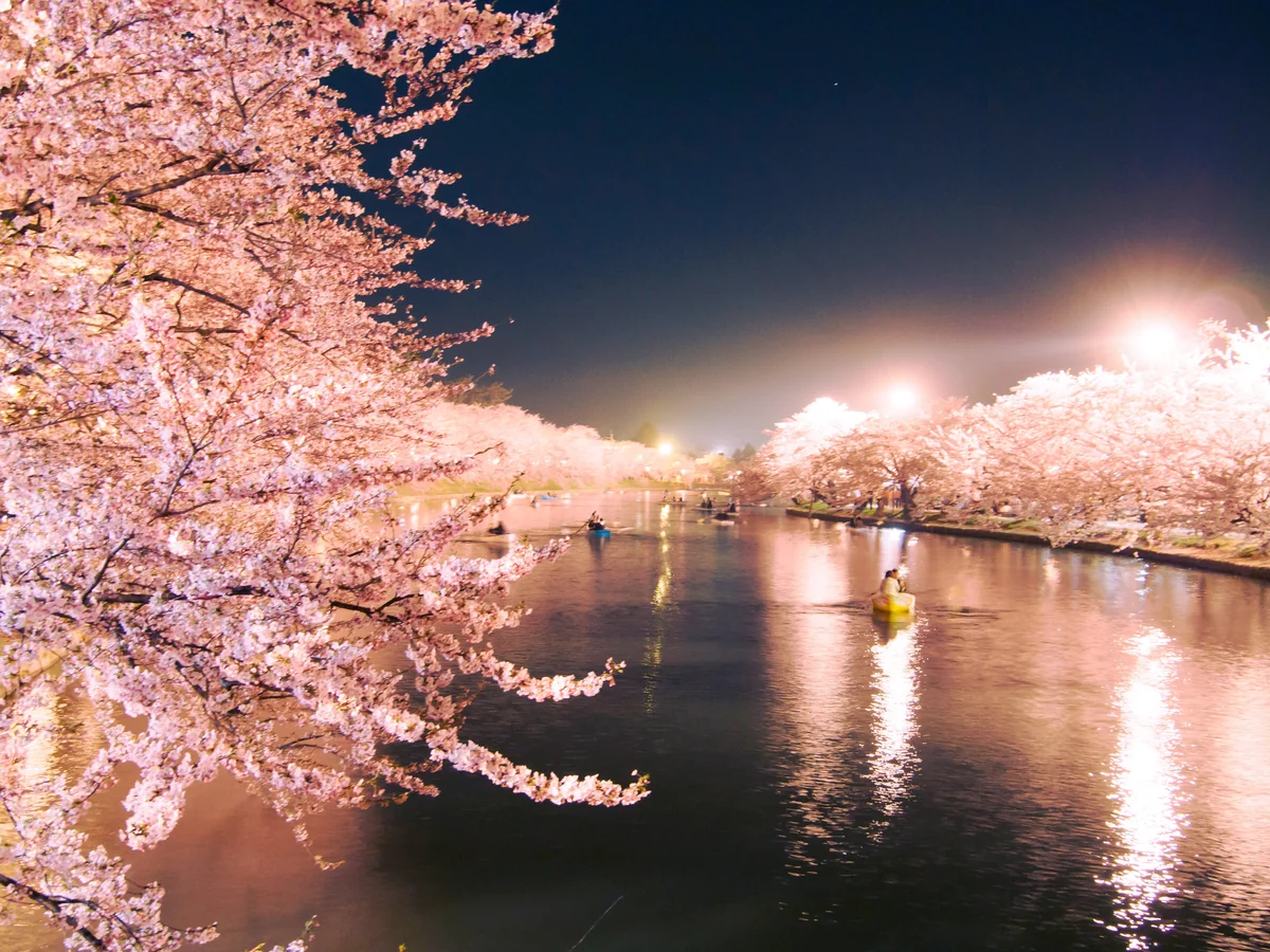 Masayuki Kawamuraさんの投稿写真