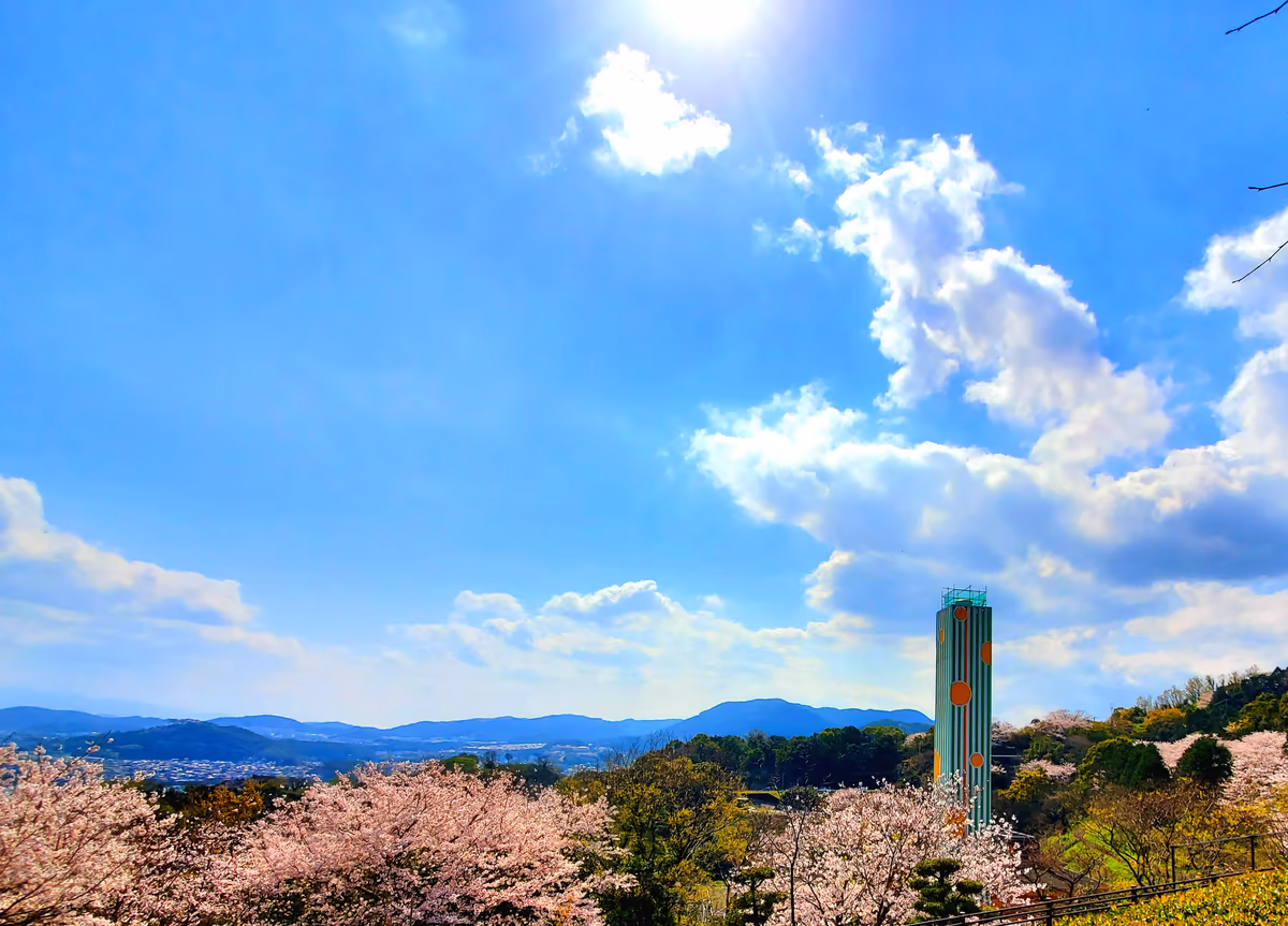 投稿写真：のぞみ公園