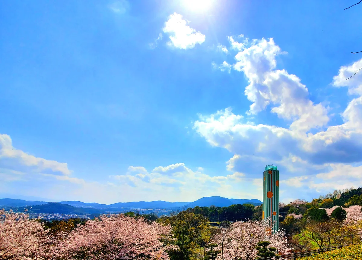 投稿写真：のぞみ公園