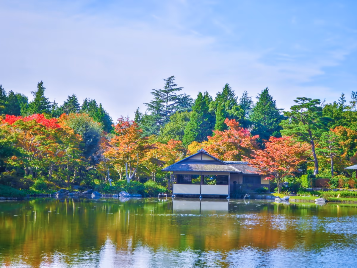投稿写真：色づき始めた日本庭園の紅葉