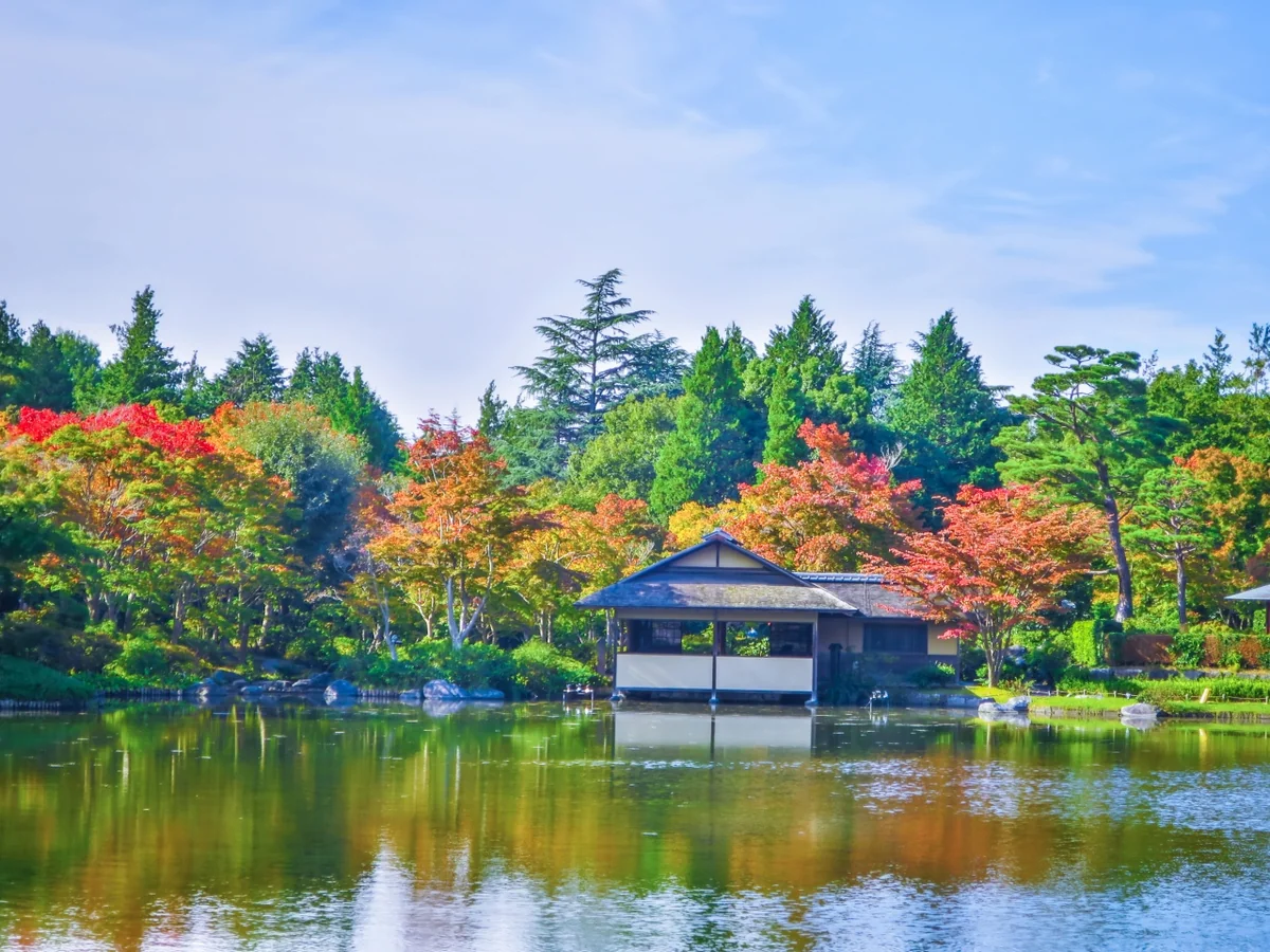 投稿写真：色づき始めた日本庭園の紅葉