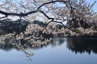  | 絶景事典