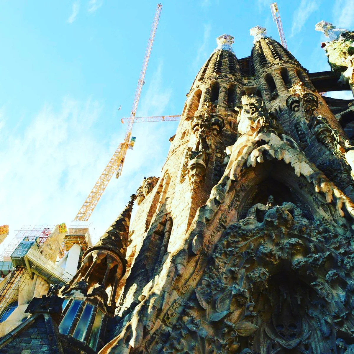 投稿写真：サグラダファミリア