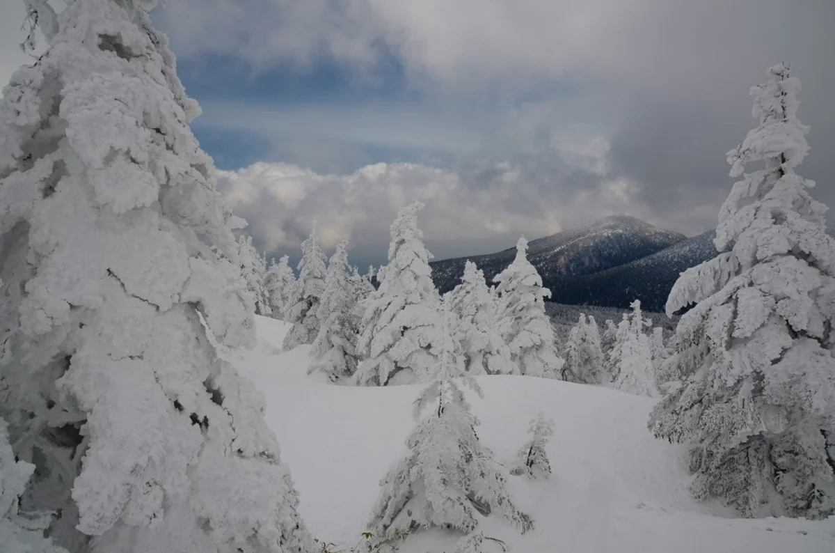 鬼瓦　鉄五郎さんの投稿写真