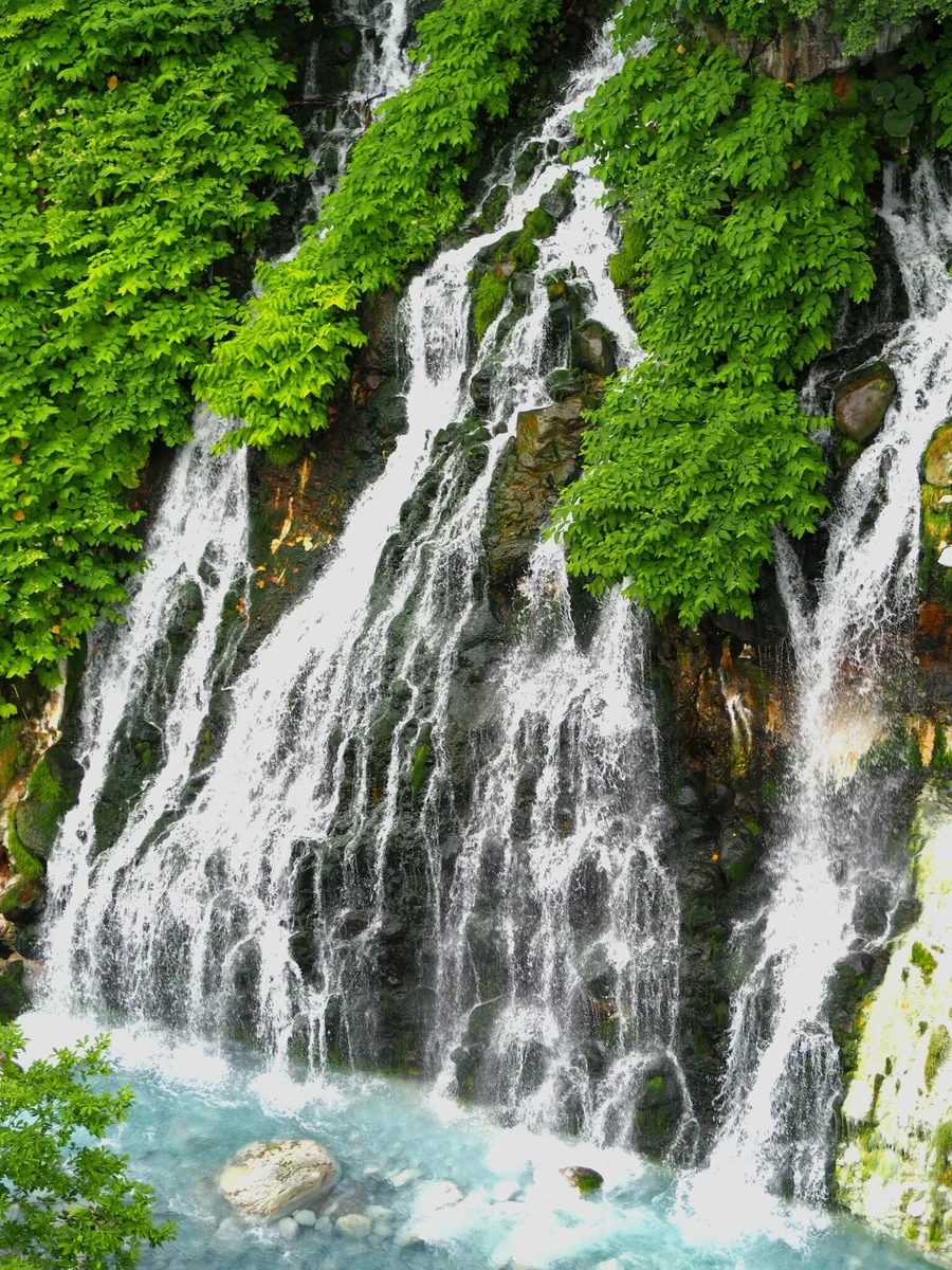 投稿写真：白髭の滝