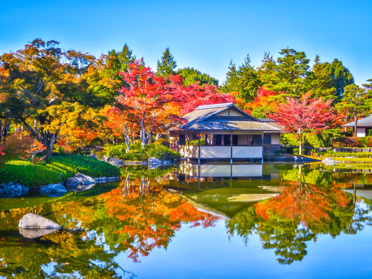 投稿写真：もみじの紅葉のリフレクション