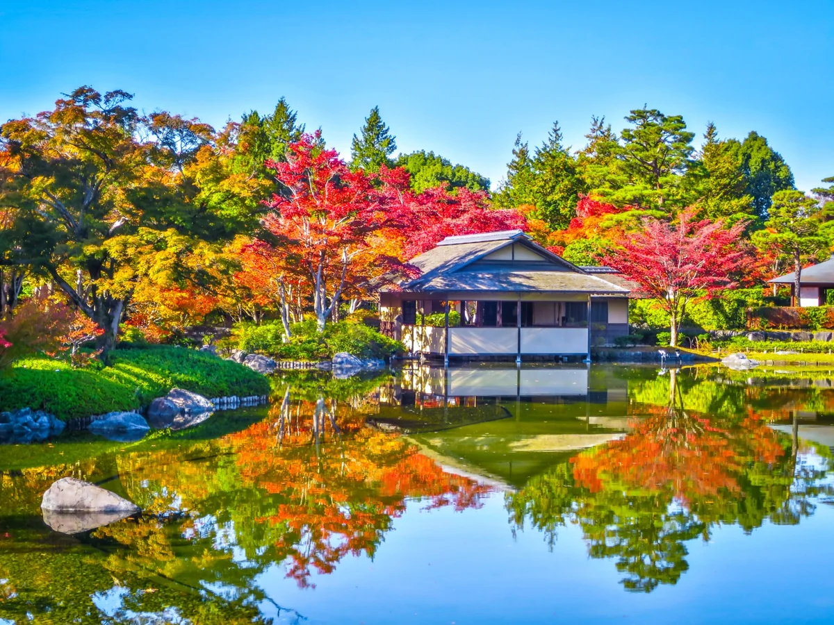 投稿写真：もみじの紅葉のリフレクション