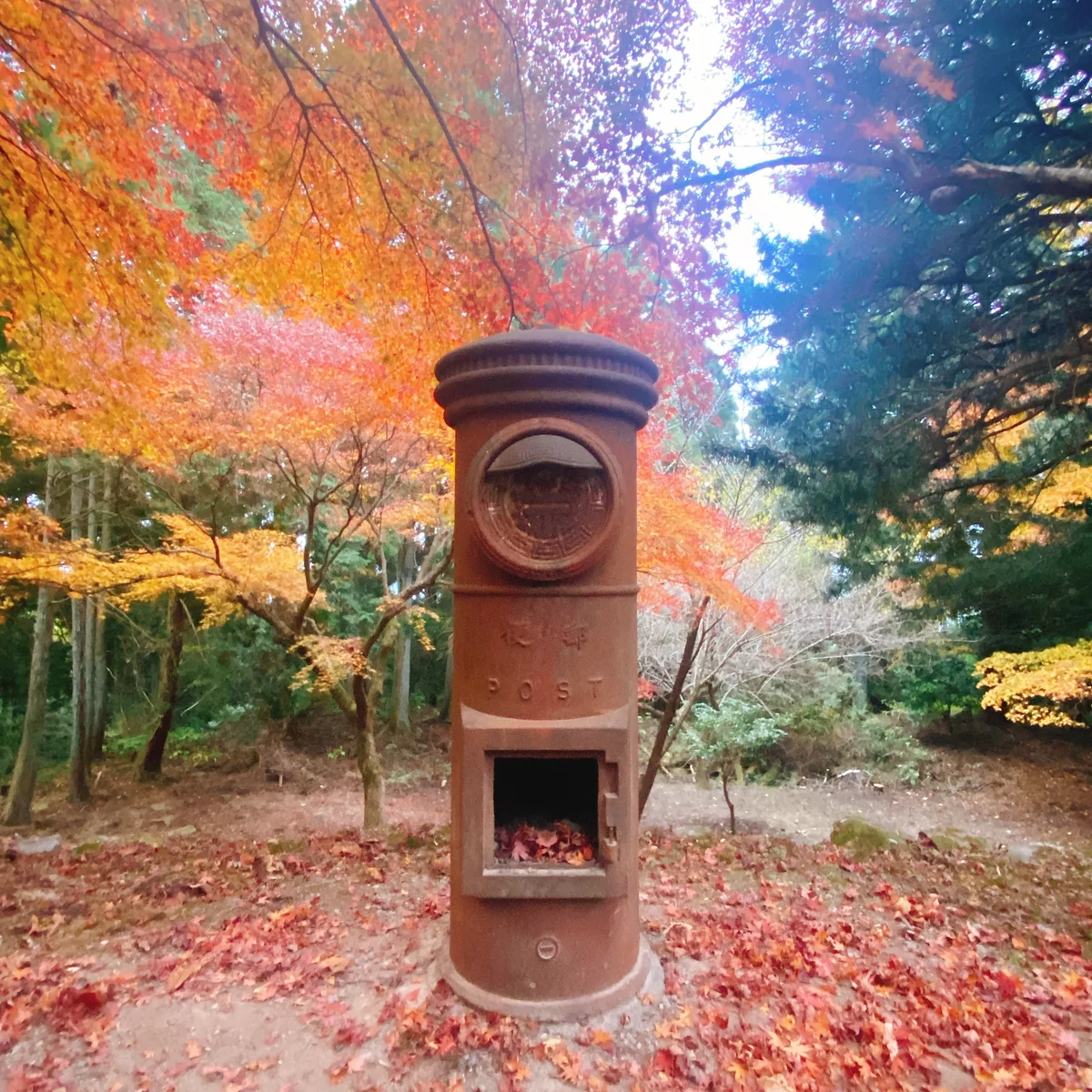 投稿写真：引退のポスト