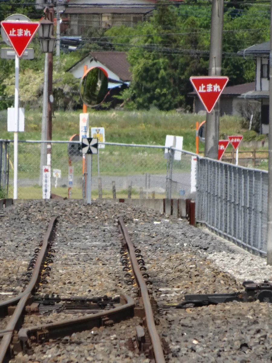 投稿写真：『そんなに急いで何処へ行く』／茂木駅