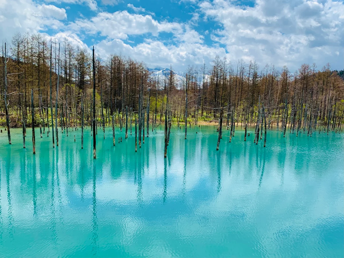 投稿写真：青い池