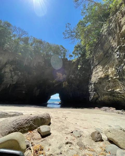 投稿：洞窟の中から見えたのは！