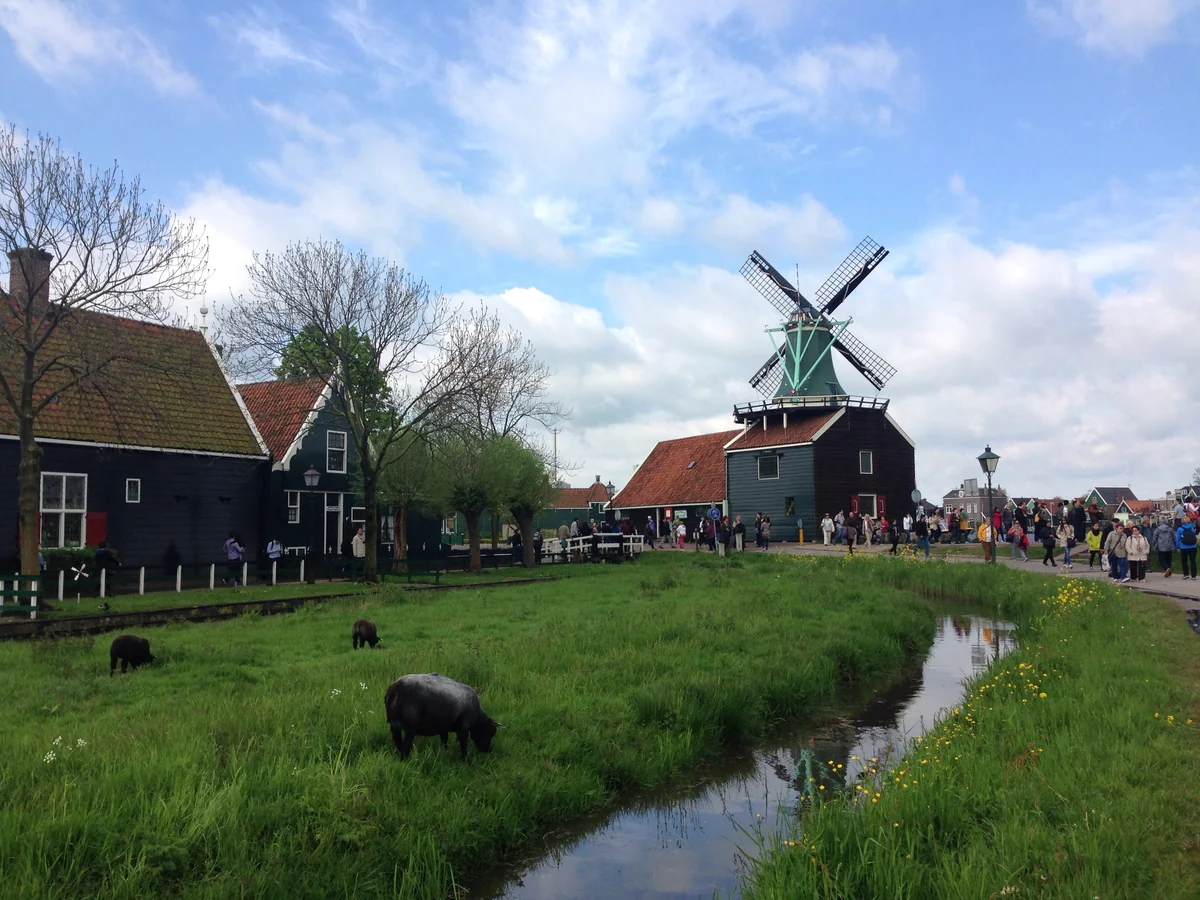 投稿写真：風車のある風景