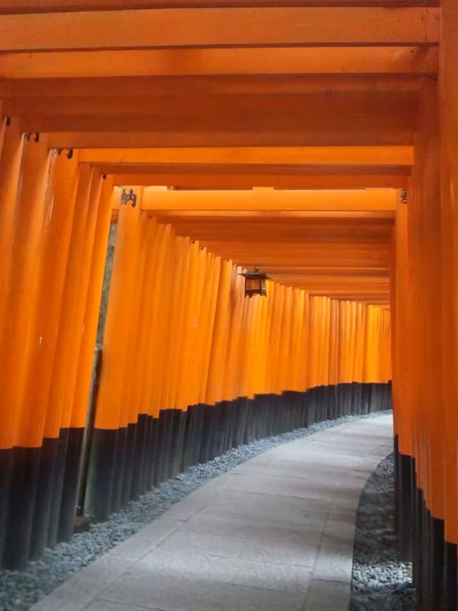 投稿写真：千本鳥居