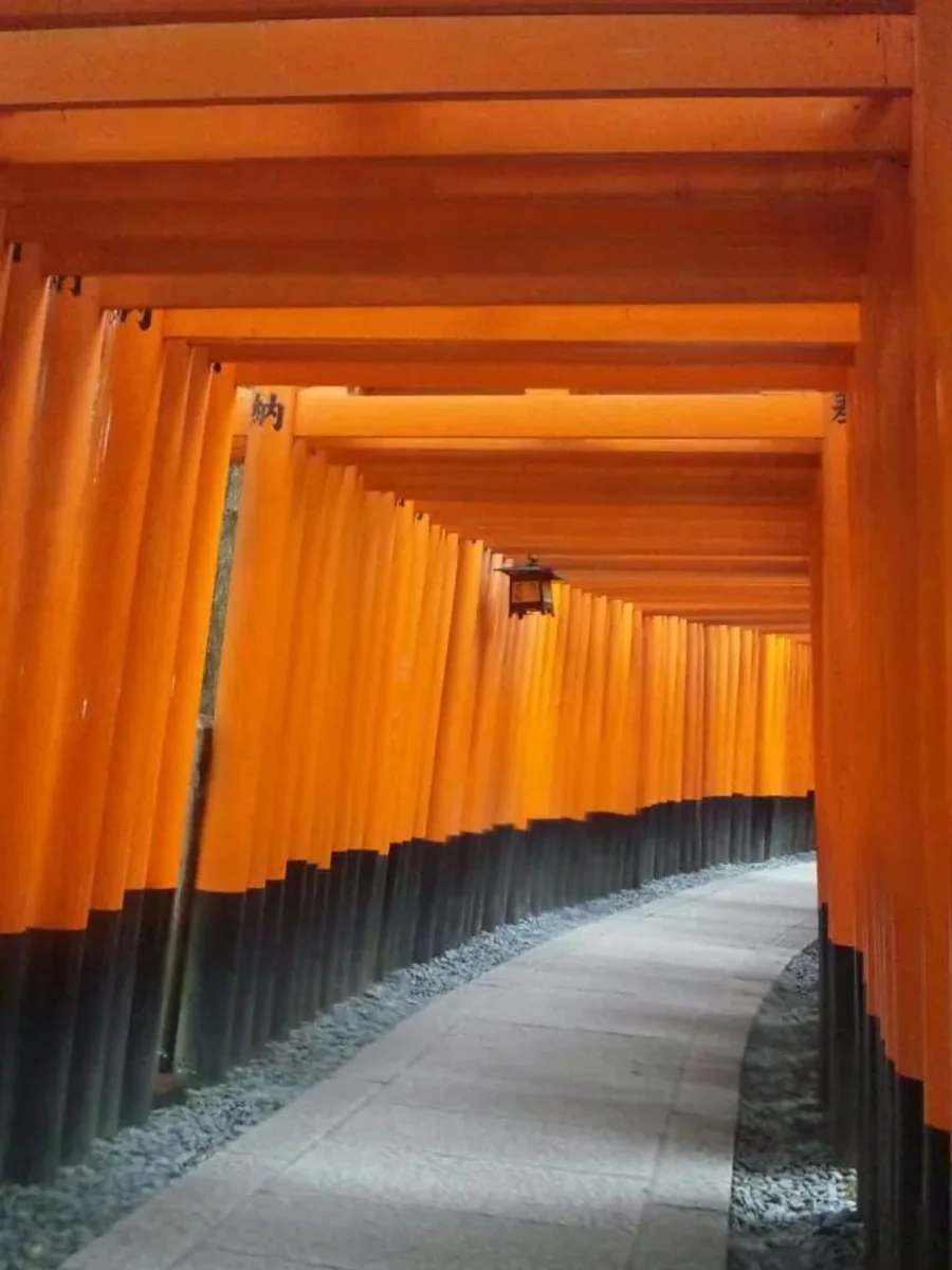 投稿写真：千本鳥居