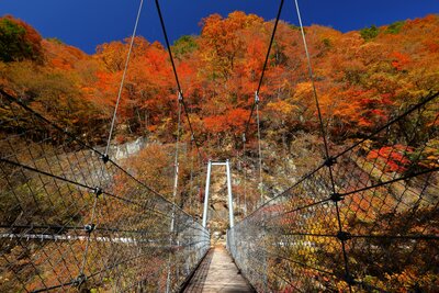  | 絶景事典