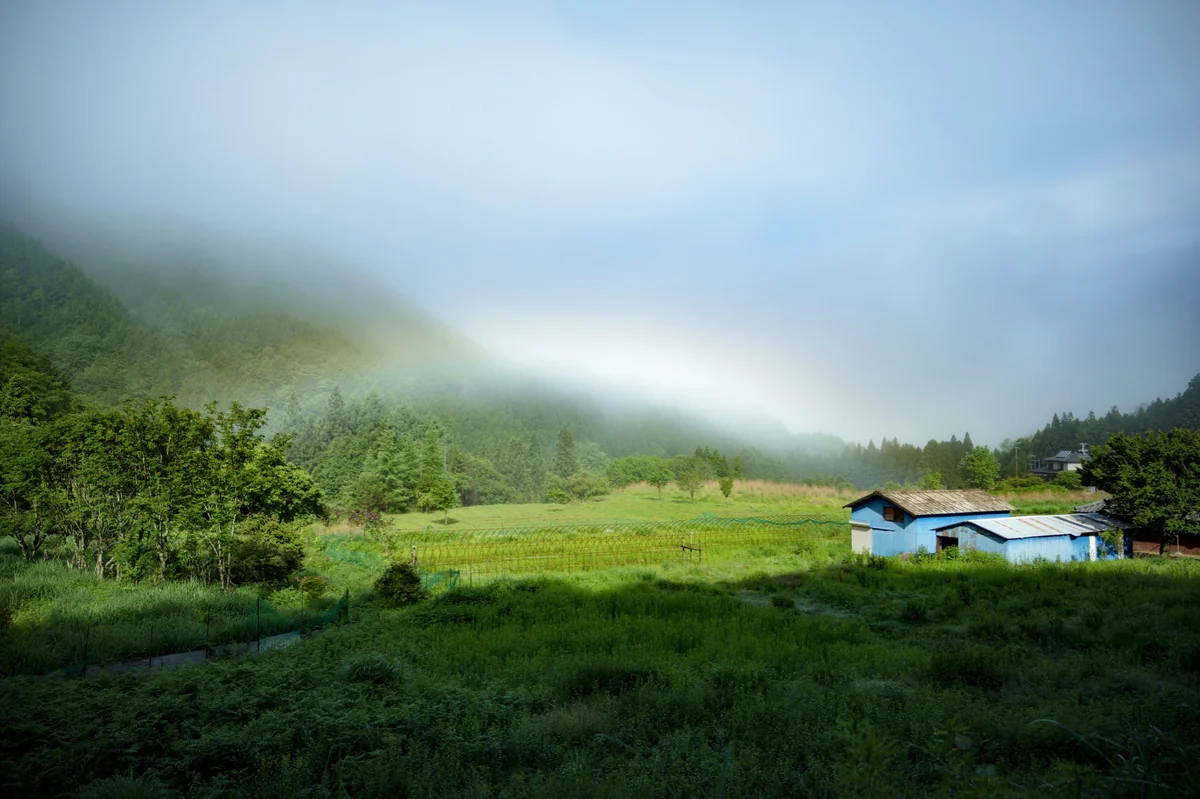 投稿写真：ネバーランド
