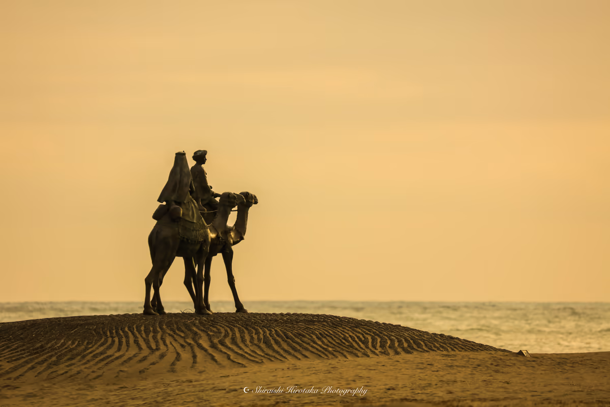 投稿写真：desert of the moon