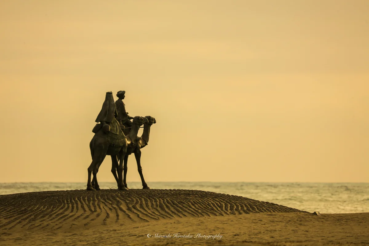 投稿写真：desert of the moon