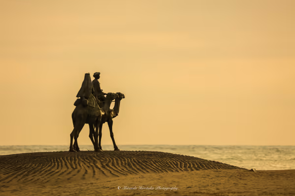 投稿：desert of the moon