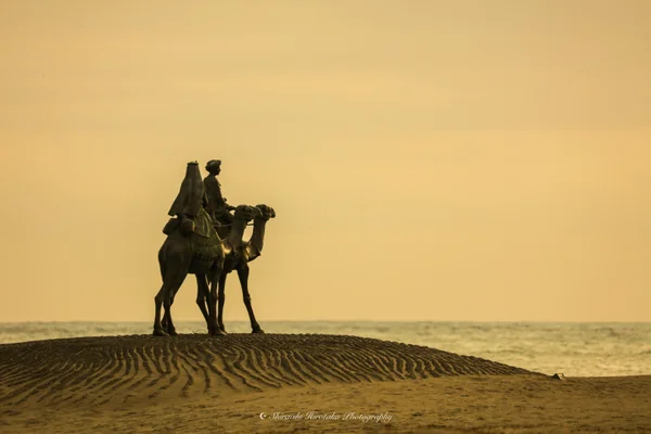 投稿：desert of the moon