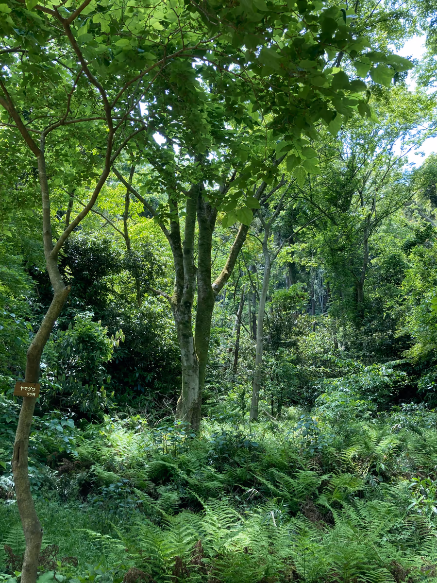 投稿写真：神奈川金沢自然園