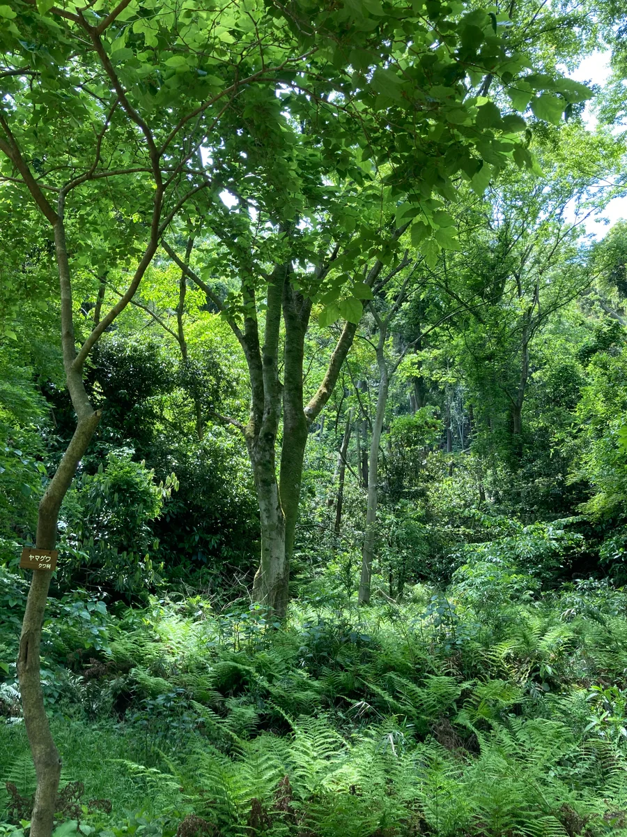 投稿写真：神奈川金沢自然園