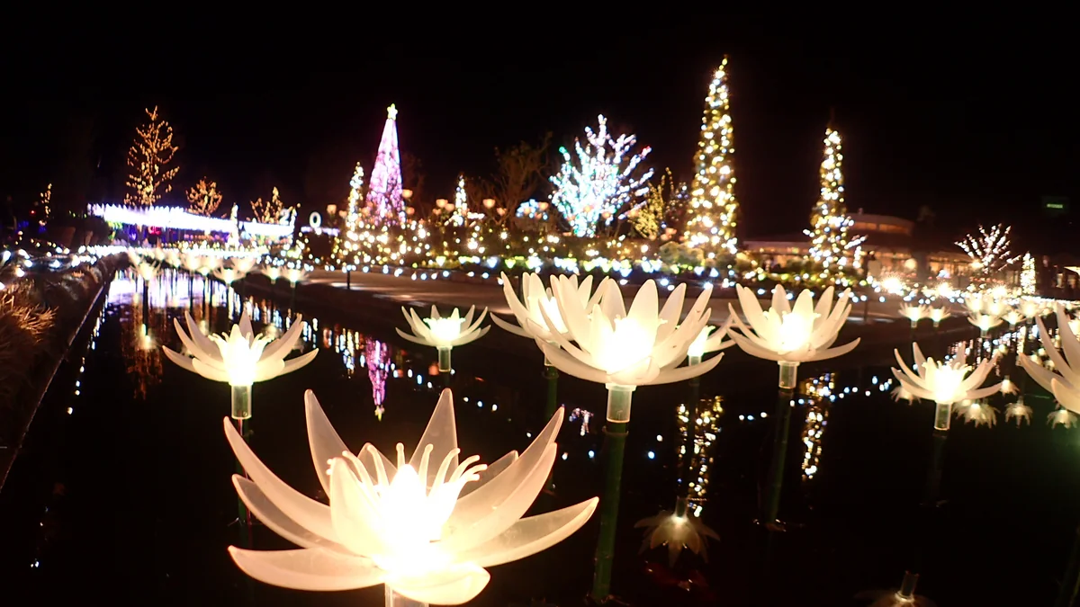 投稿写真：イルミネーション