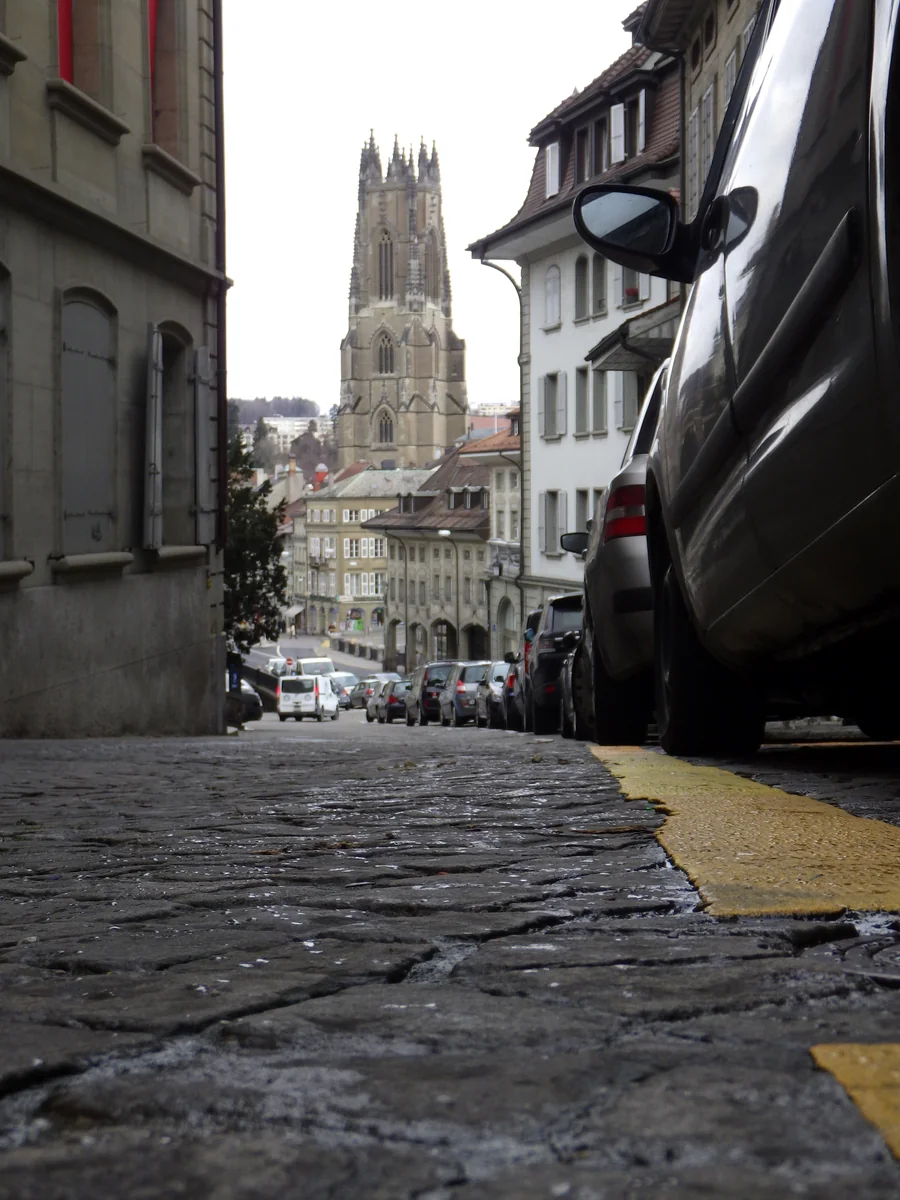 投稿写真：低視線