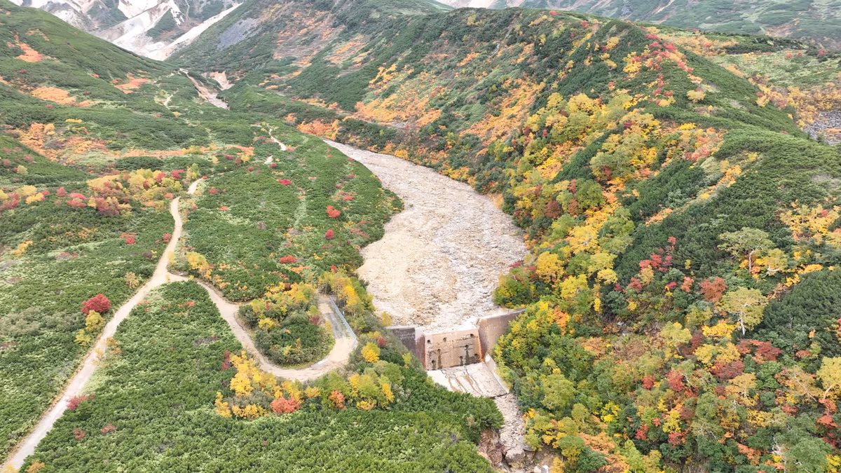 投稿写真：十勝岳温泉郷と紅葉