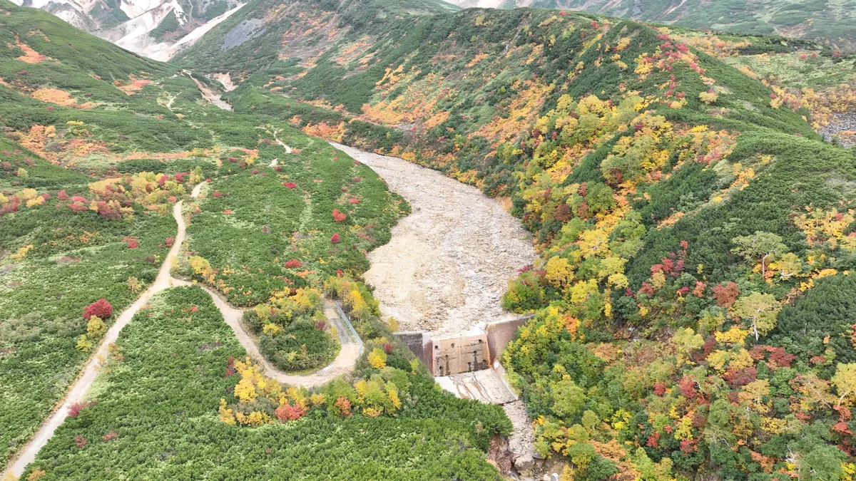 投稿写真：十勝岳温泉郷と紅葉