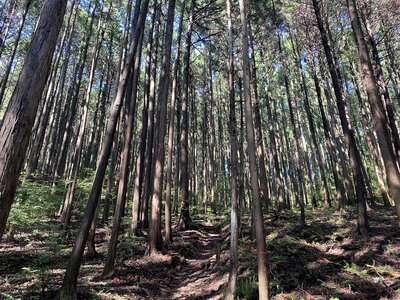  | 絶景事典