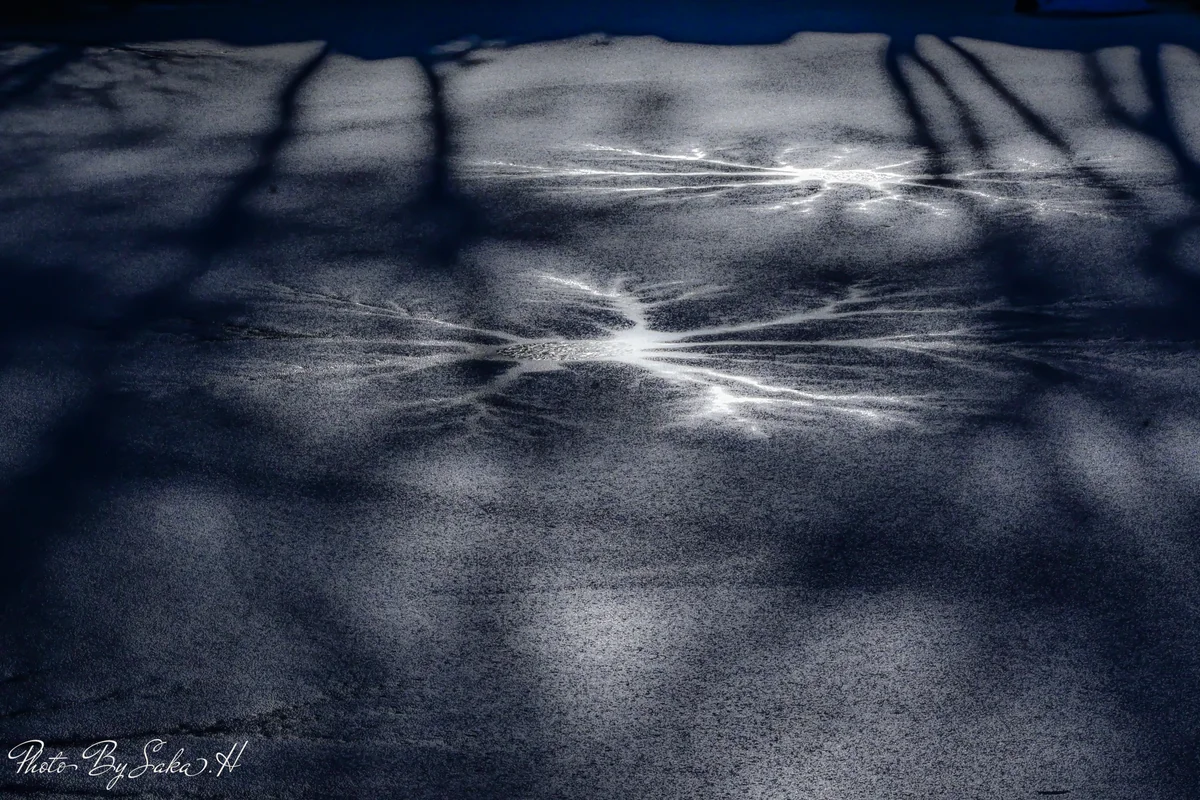 投稿写真：氷の微笑