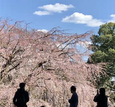  | 絶景事典