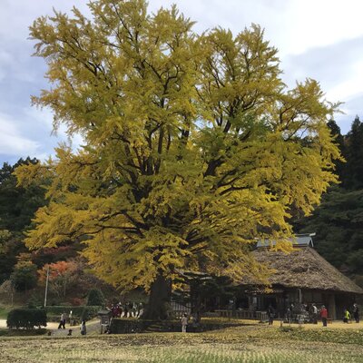  | 絶景事典
