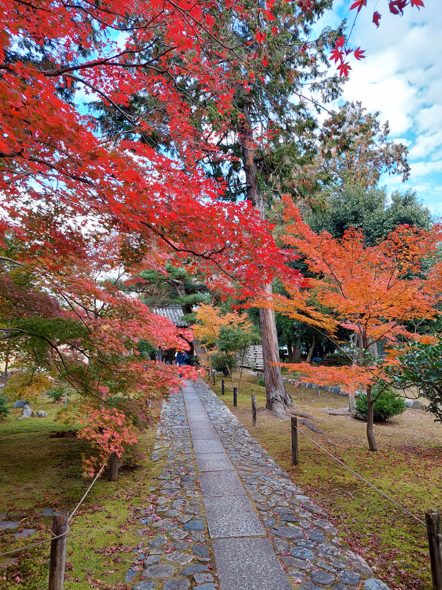 投稿写真：秋の京都　紅葉の小径🍁