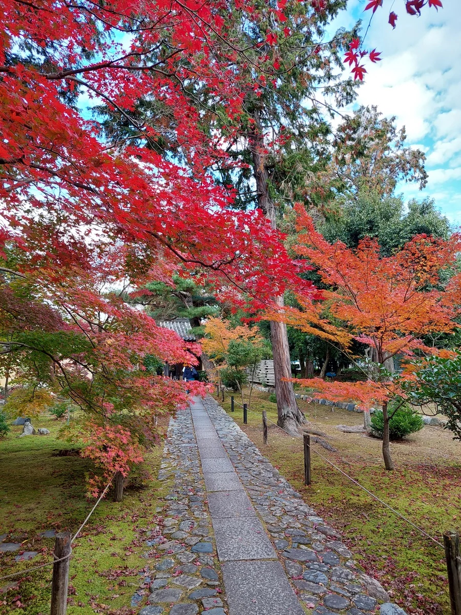 投稿写真：秋の京都　紅葉の小径🍁