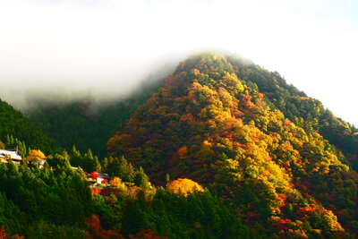  | 絶景事典