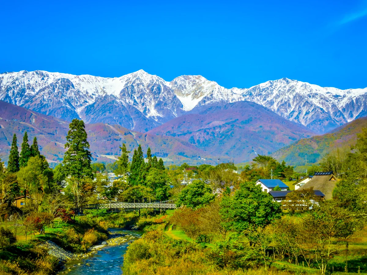 投稿写真：白馬三段紅葉