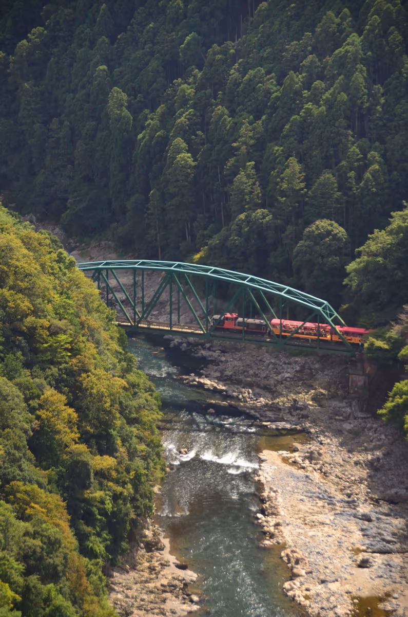 投稿写真：保津峡とトロッコ列車