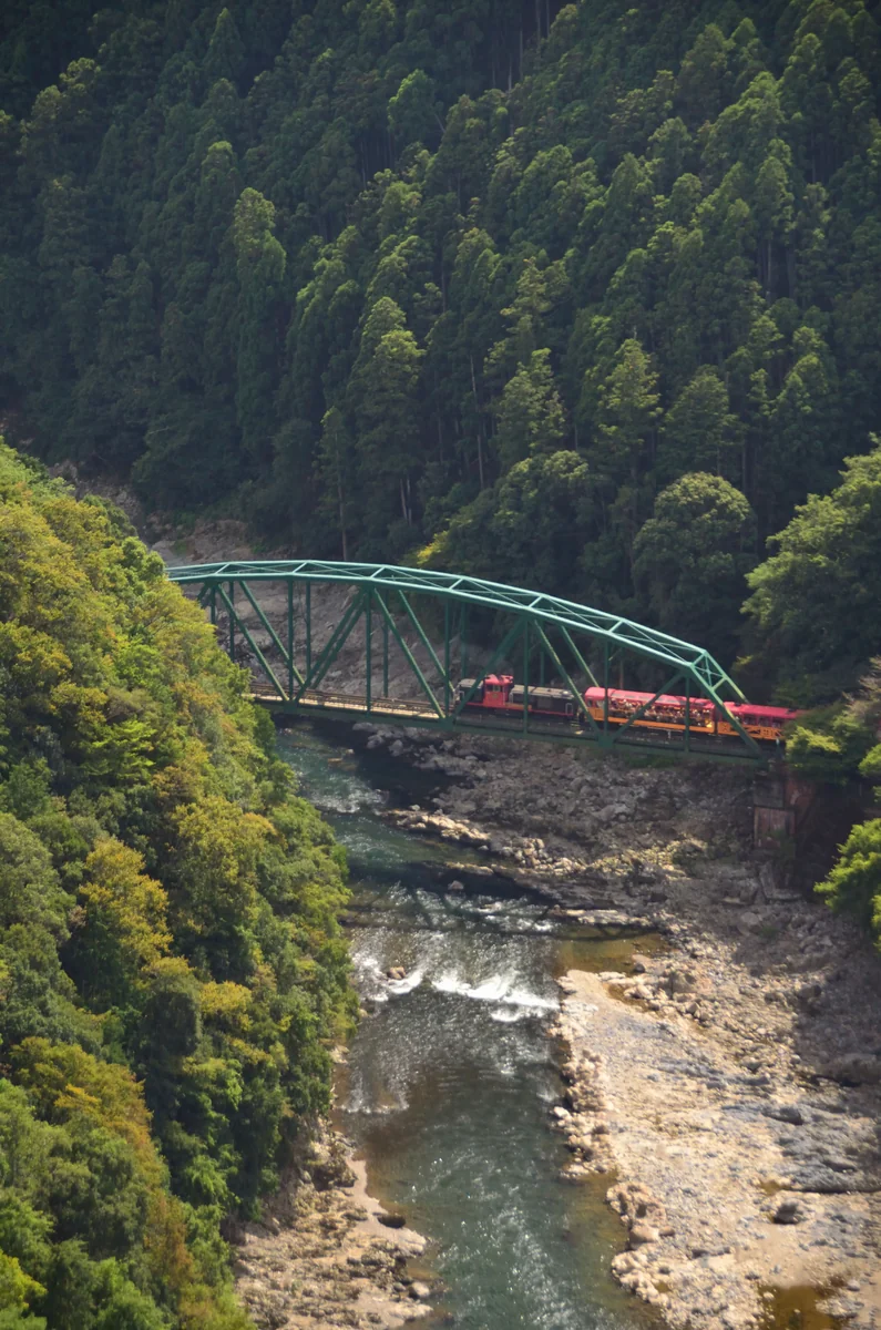 投稿写真：保津峡とトロッコ列車