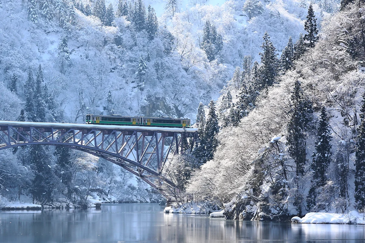 furukenさんの投稿写真