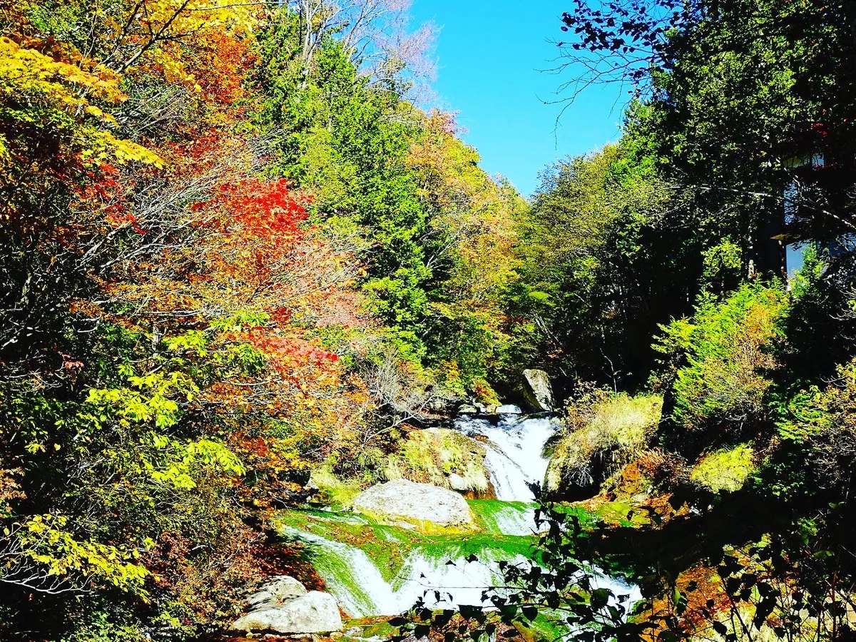 投稿写真：紅葉のおしどり隠しの滝